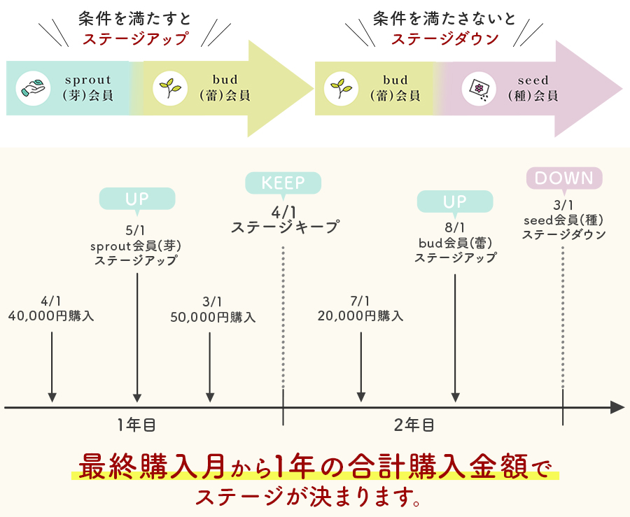 会員ステージについて